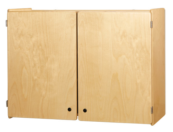 Lockable Wall Cabinet- Closed Doors