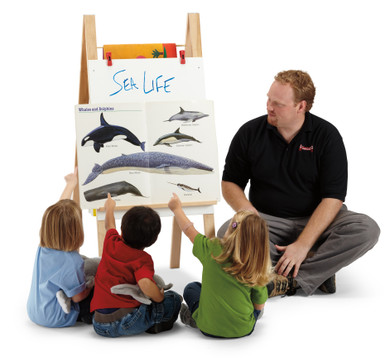 Teachers' Standard Easel - Write-n-Wipe- Model