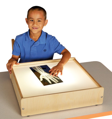 Light Box- Model